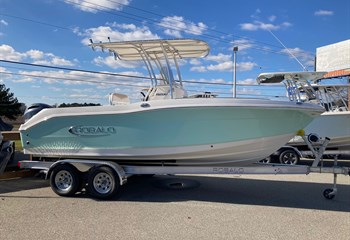 2024 Robalo R200 Seafoam/White Boat